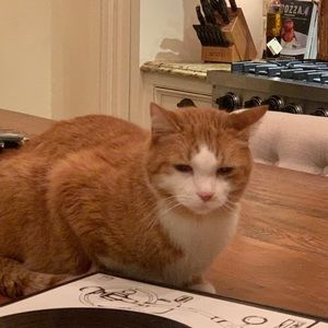 Meet your Posher, Anna